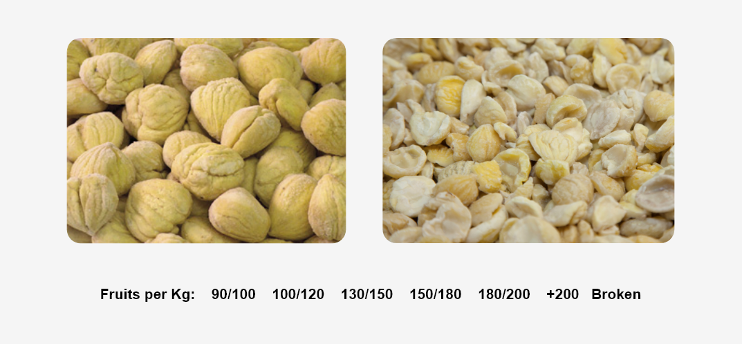 Alibos Galicia SL - Productos